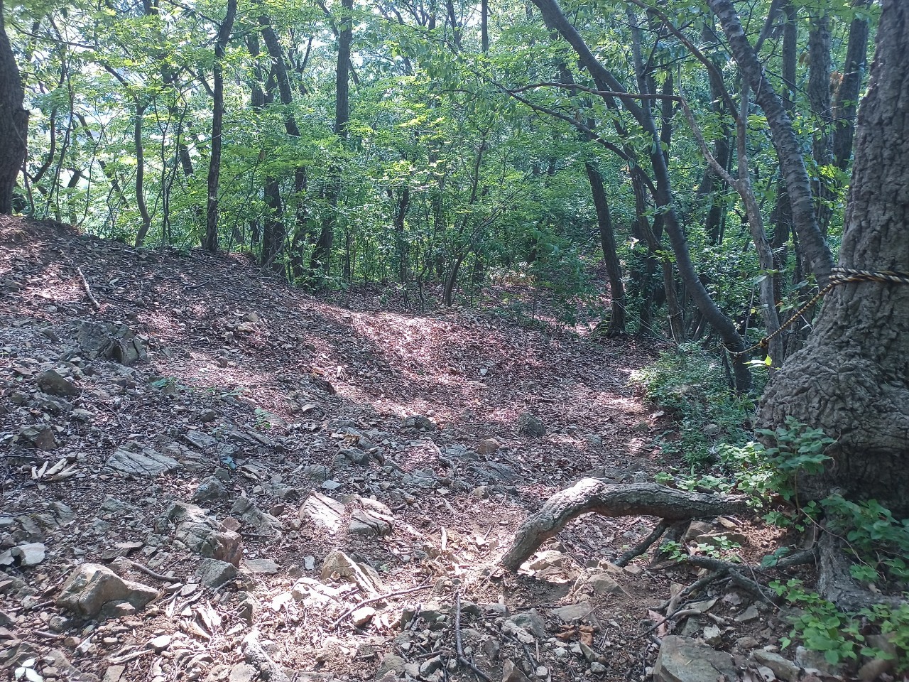 LINE_ALBUM_盃山_240630_128