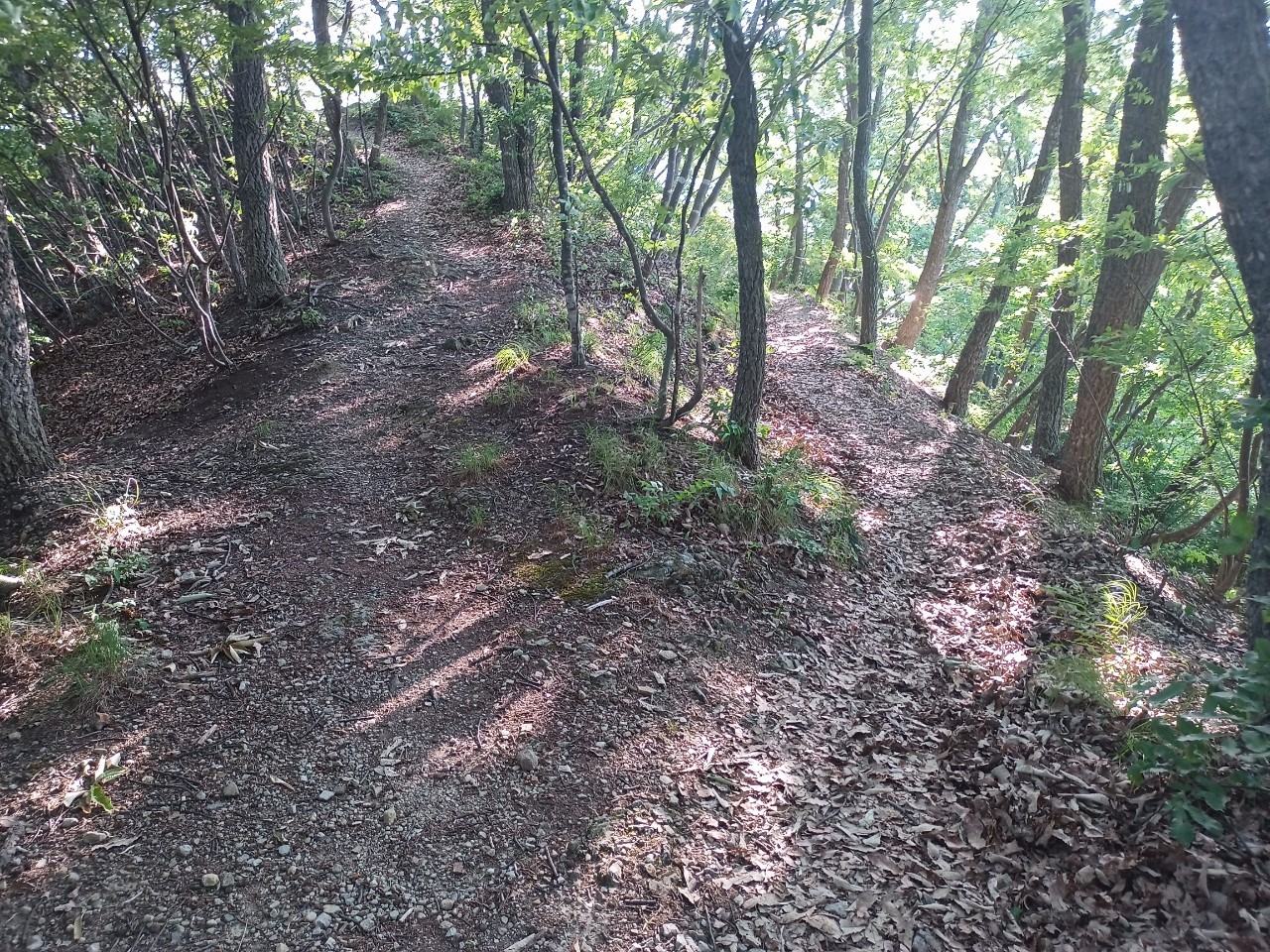 LINE_ALBUM_盃山_240630_133