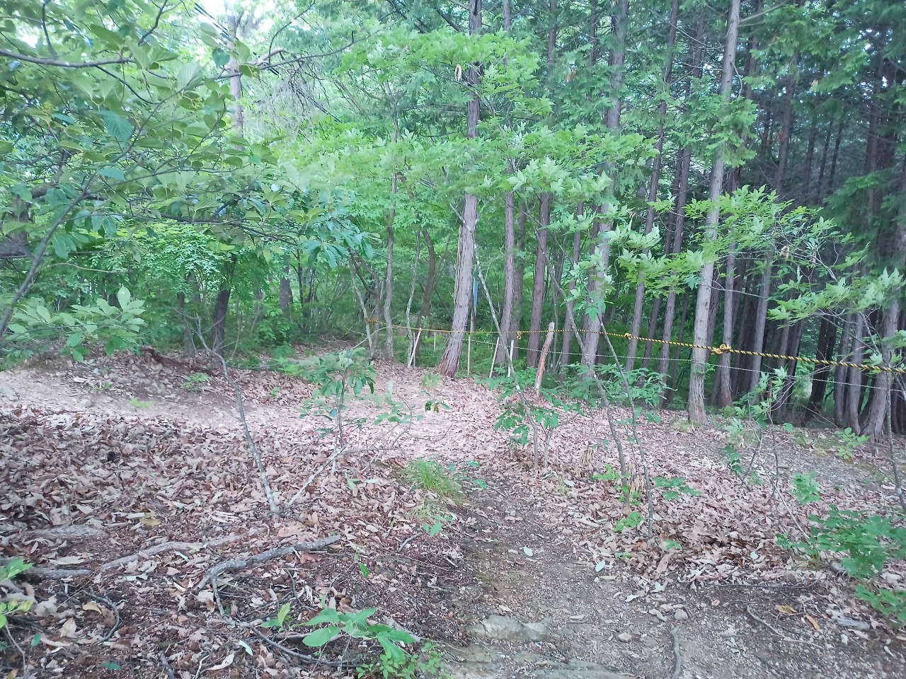 LINE_ALBUM_盃山2_240630_22