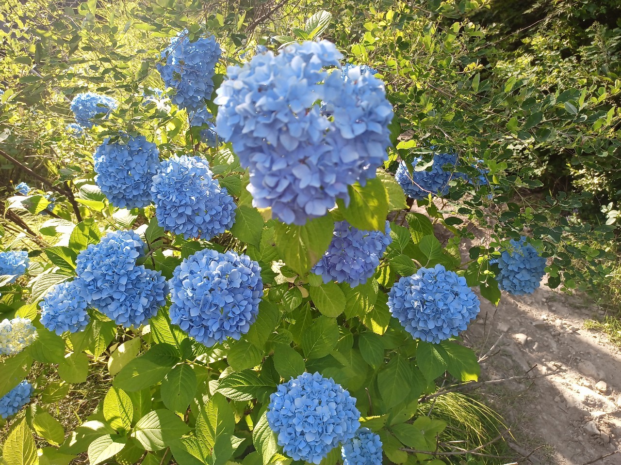 LINE_ALBUM_盃山_240630_210