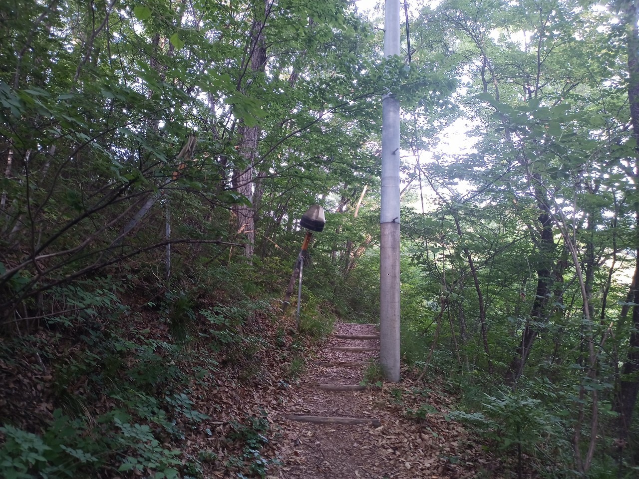 LINE_ALBUM_盃山_240630_52