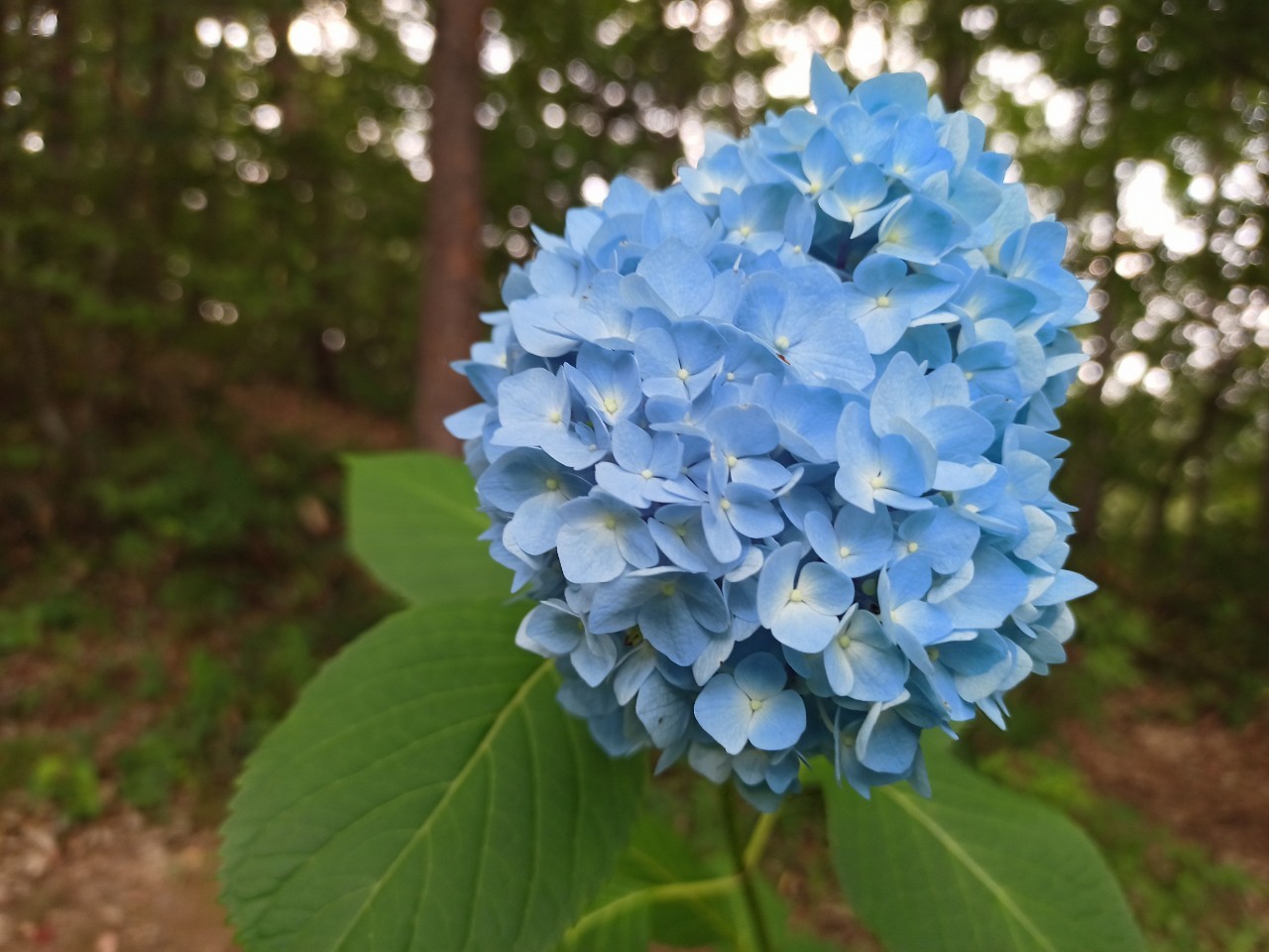 LINE_ALBUM_盃山2_240630_372