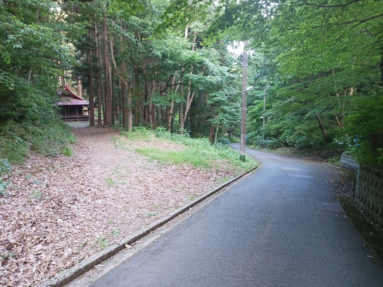 LINE_ALBUM_盃山_240630_36