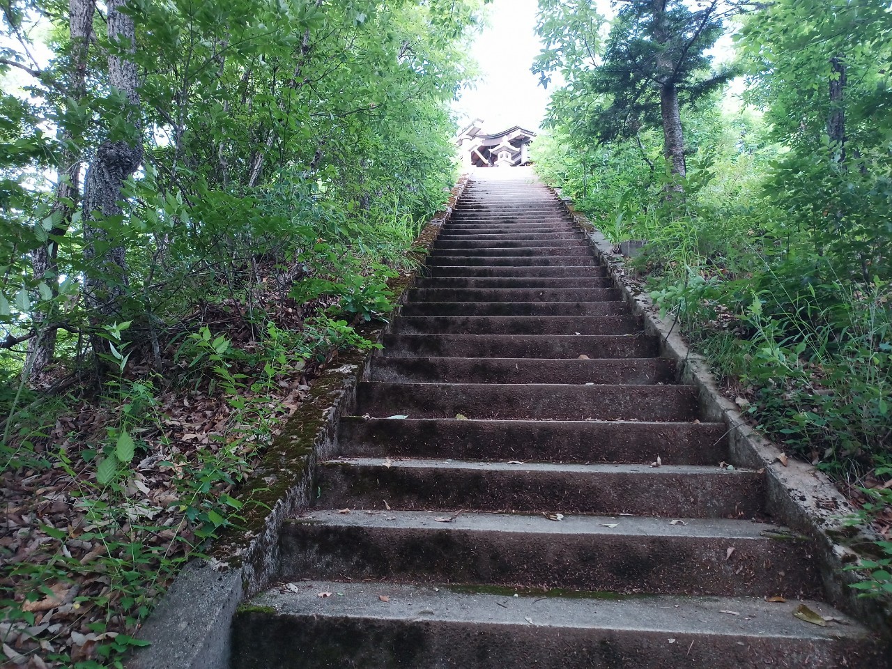 LINE_ALBUM_盃山2_240630_32