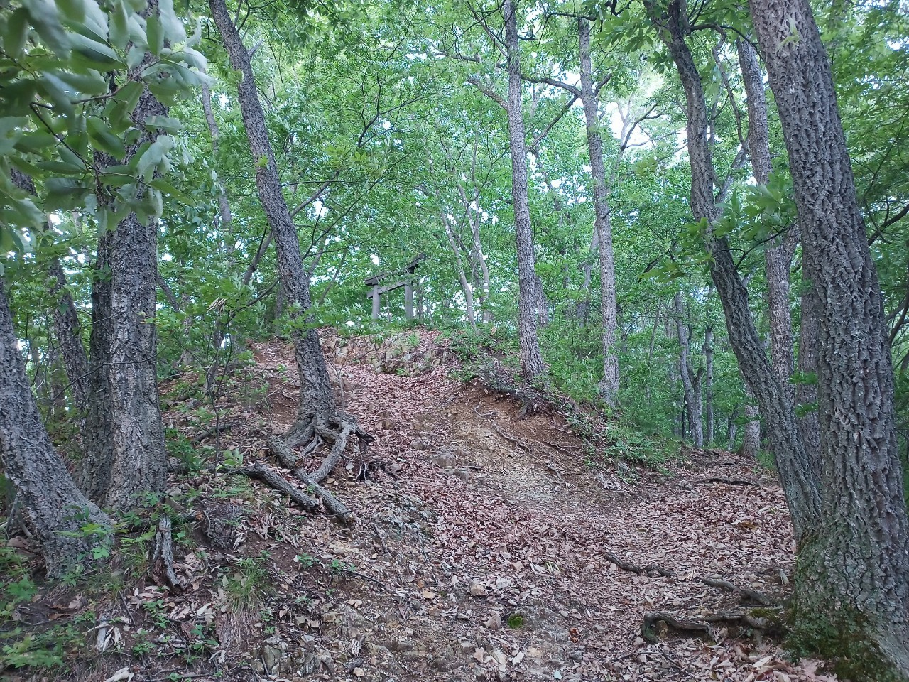 LINE_ALBUM_盃山2_240630_38