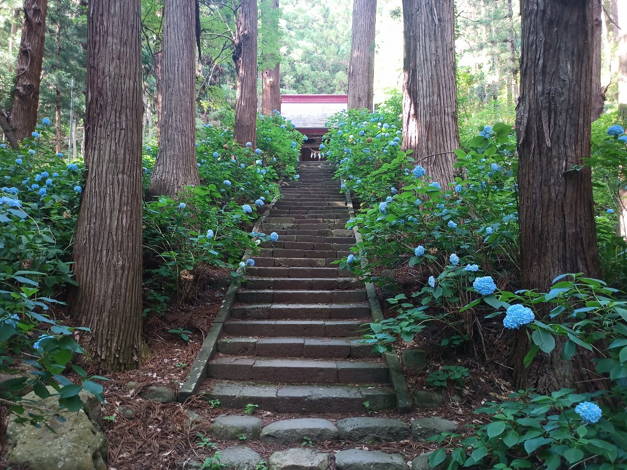 LINE_ALBUM_盃山_240630_243