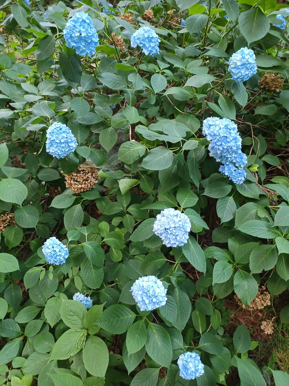 LINE_ALBUM_盃山_240630_252