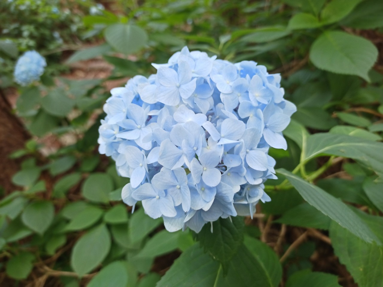 LINE_ALBUM_盃山_240630_256