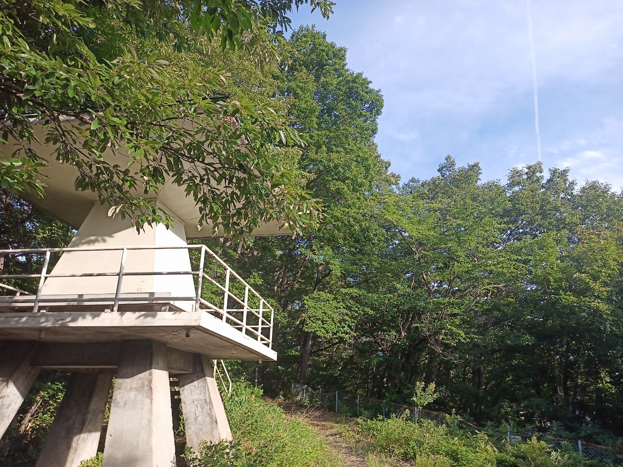 LINE_ALBUM_盃山_240630_79