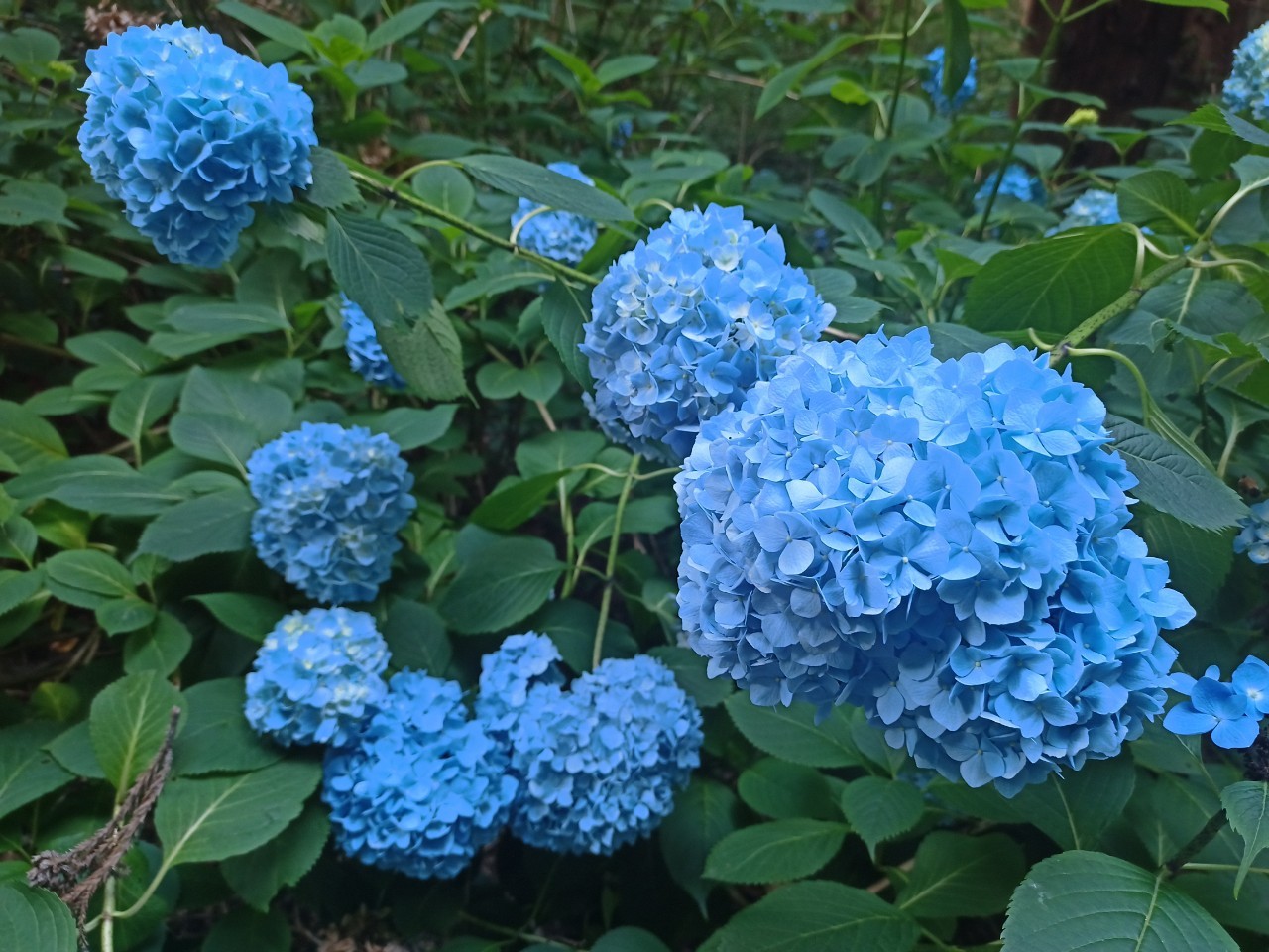 LINE_ALBUM_盃山_240630_27