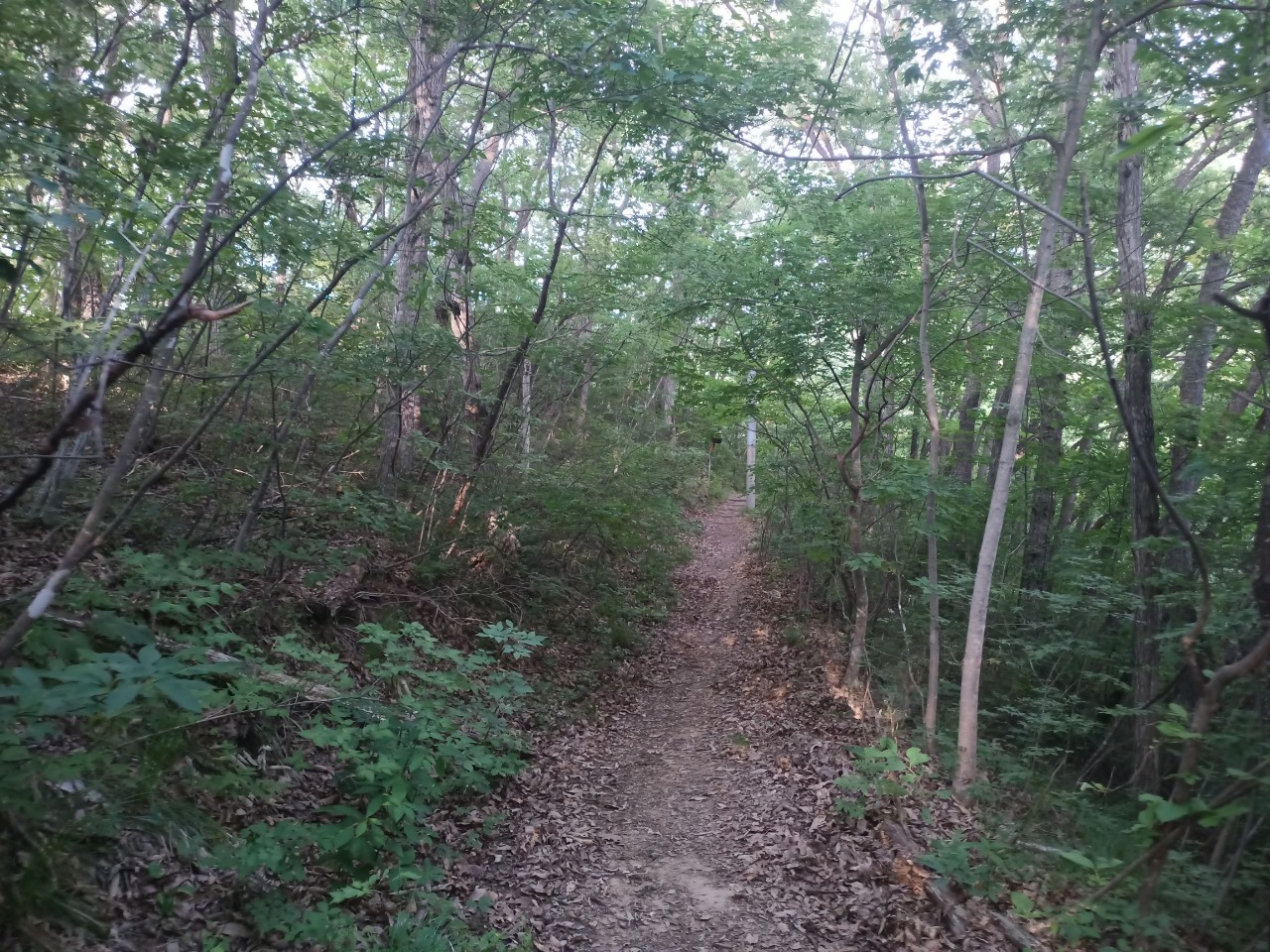 LINE_ALBUM_盃山_240630_53