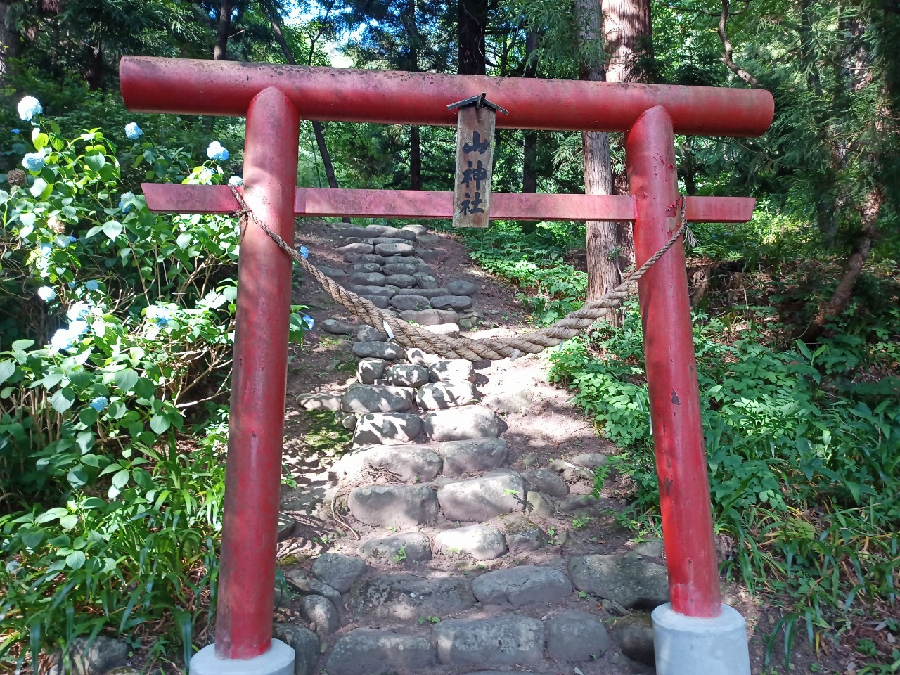 LINE_ALBUM_盃山_240630_267
