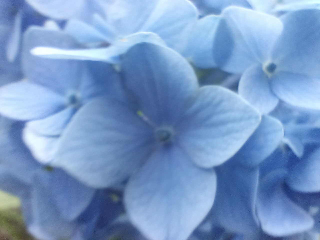 LINE_ALBUM_盃山_240630_35