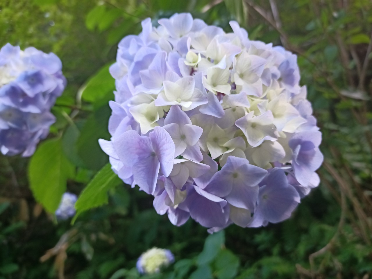 LINE_ALBUM_盃山_240630_28