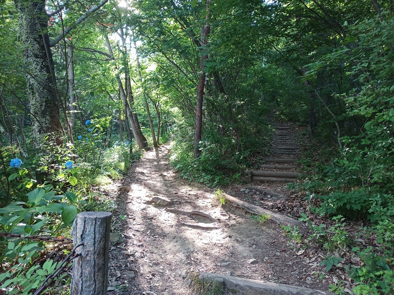 LINE_ALBUM_盃山_240630_206