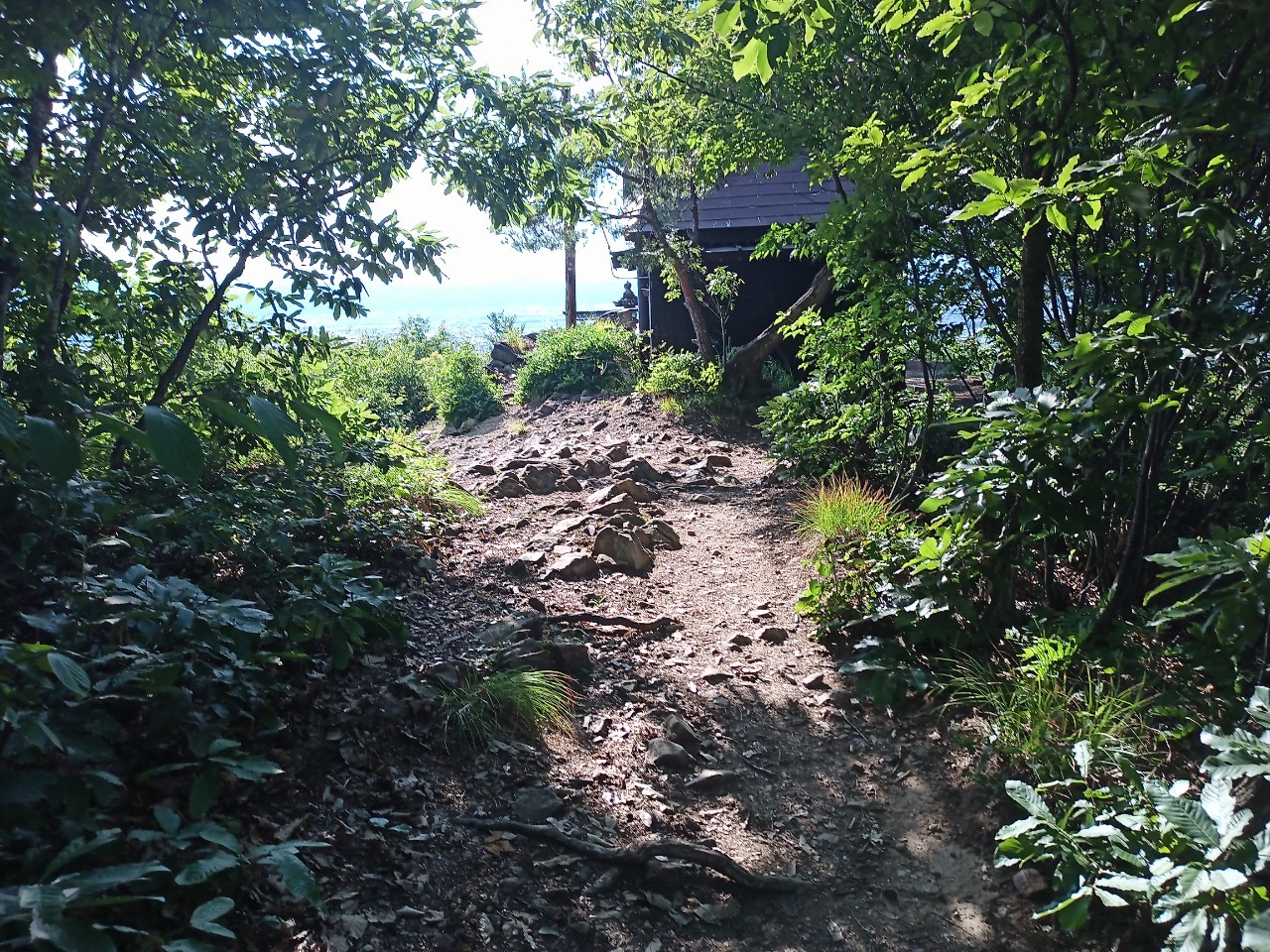 LINE_ALBUM_盃山_240630_181