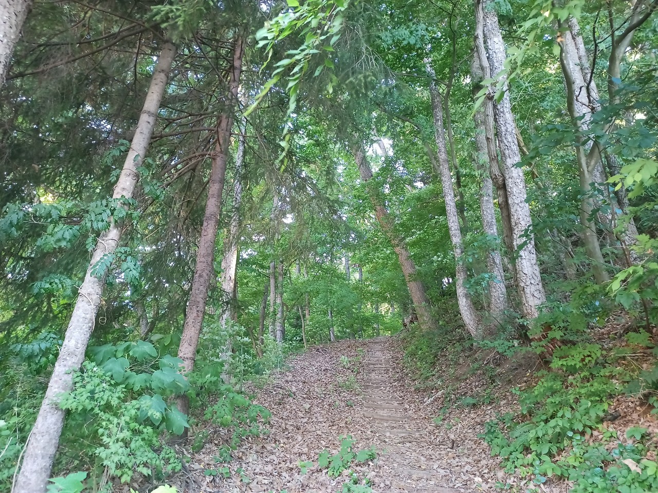 LINE_ALBUM_盃山_240630_81