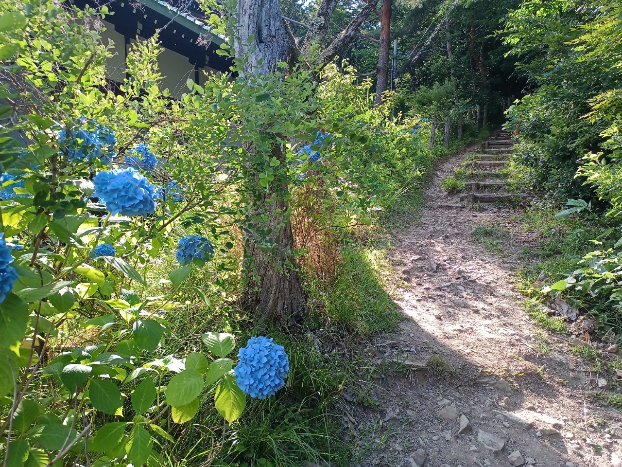 LINE_ALBUM_盃山_240630_209