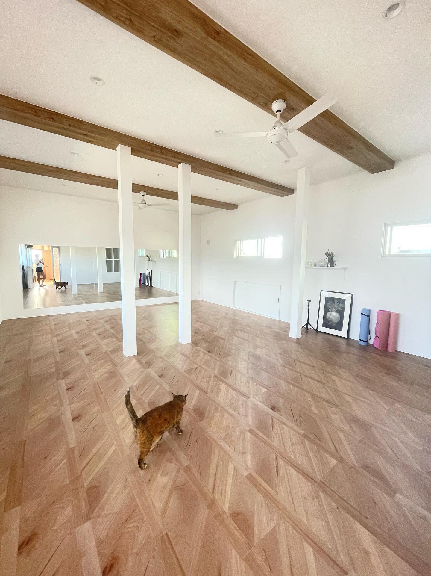 97E58CAB-78F8-46BA-BD40-941746134550