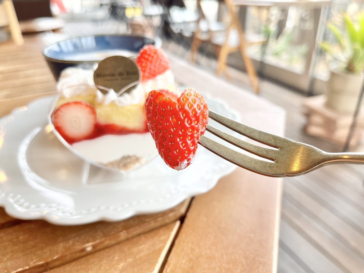 メゾンドボア16