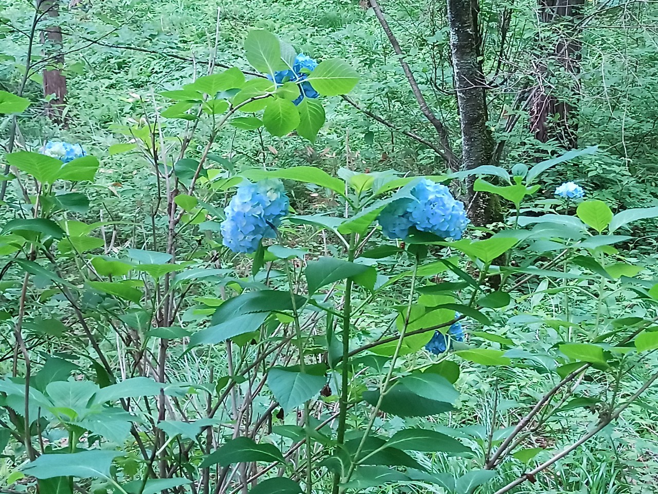 LINE_ALBUM_盃山2_240630_191