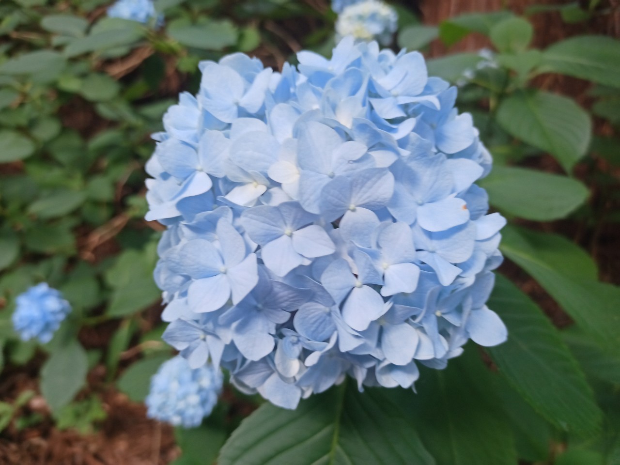 LINE_ALBUM_盃山_240630_16