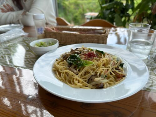 ビオトープ・カフェ きのこの森-食レポ1
