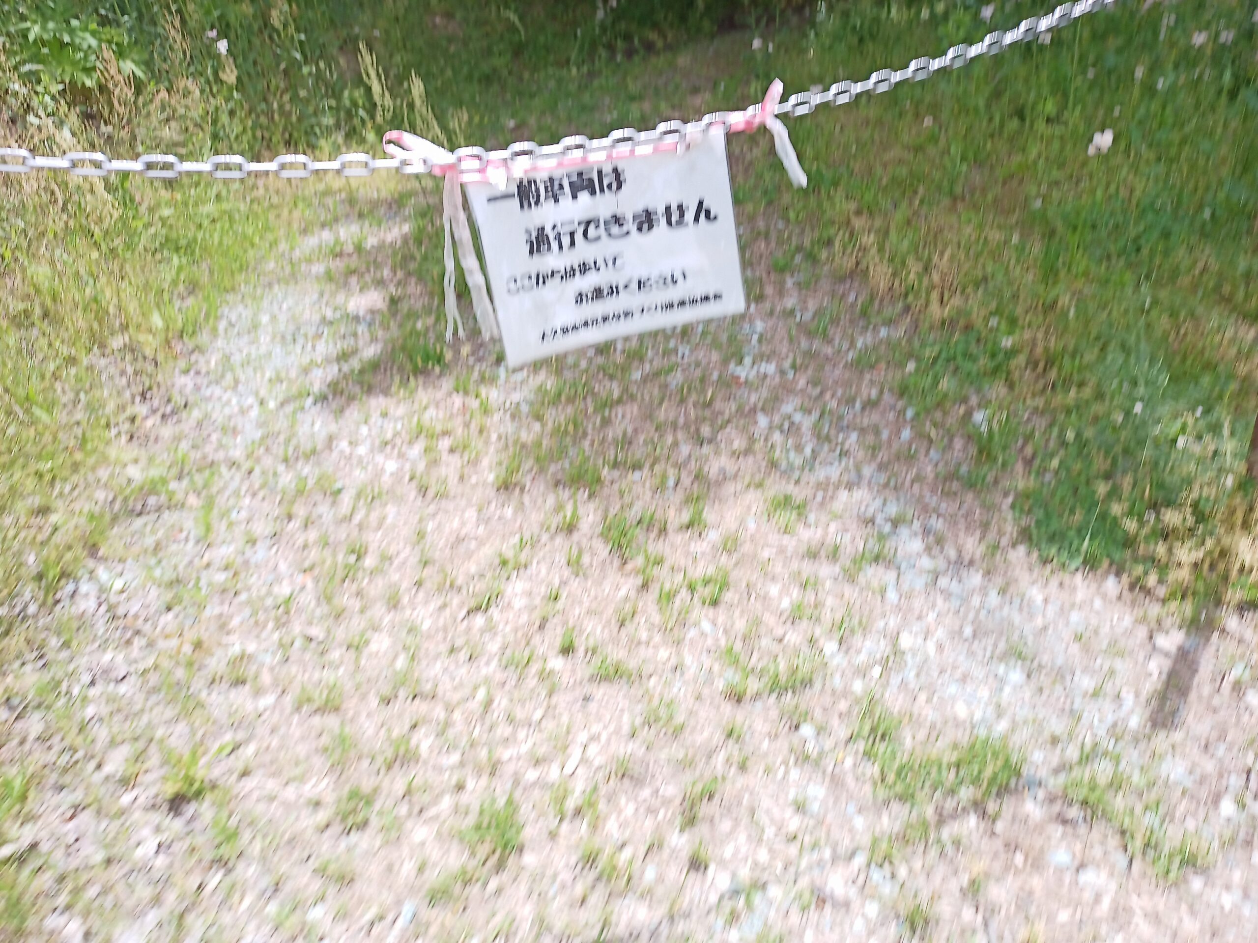 IMG_20240519_111216_051