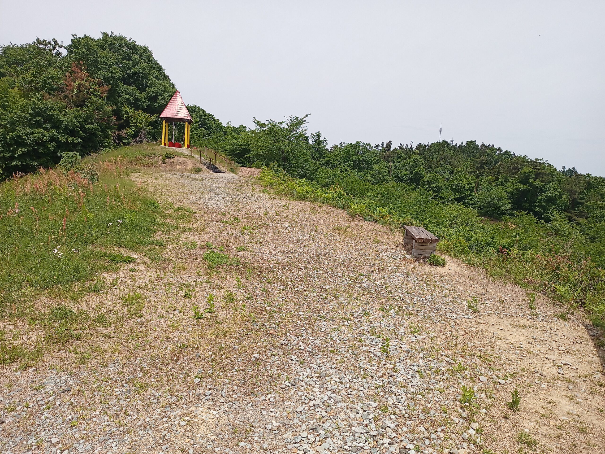 IMG_20240519_111523_755