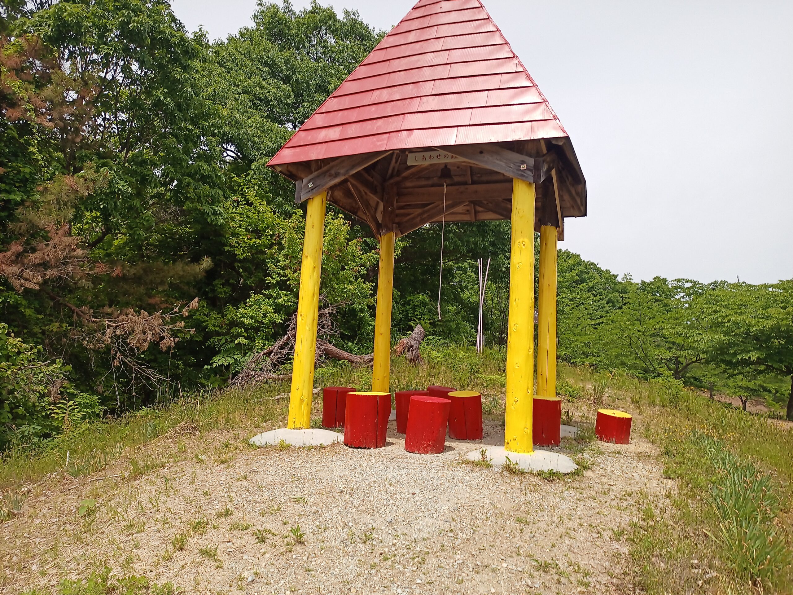 IMG_20240519_111624_057