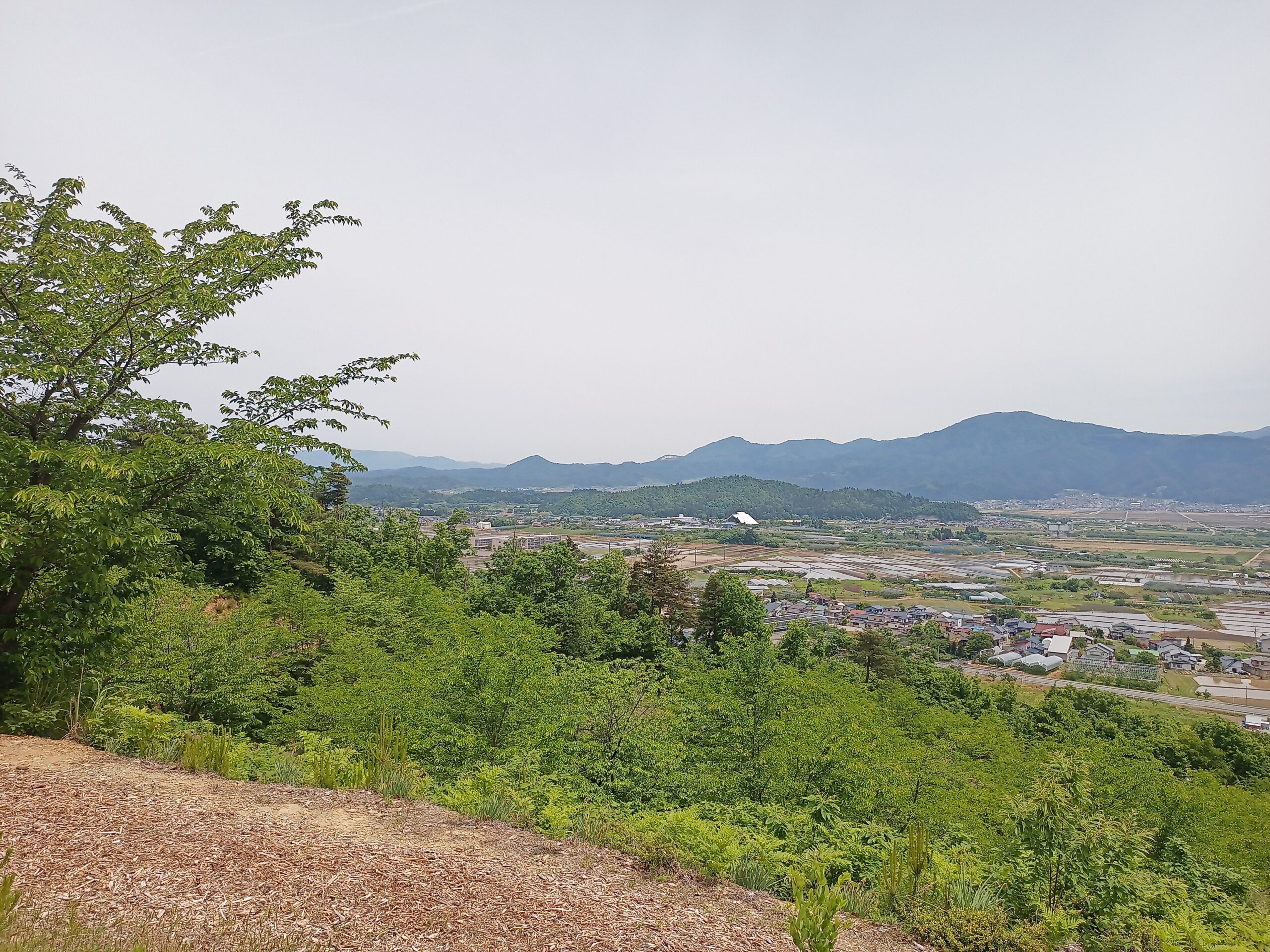 IMG_20240519_111926_455