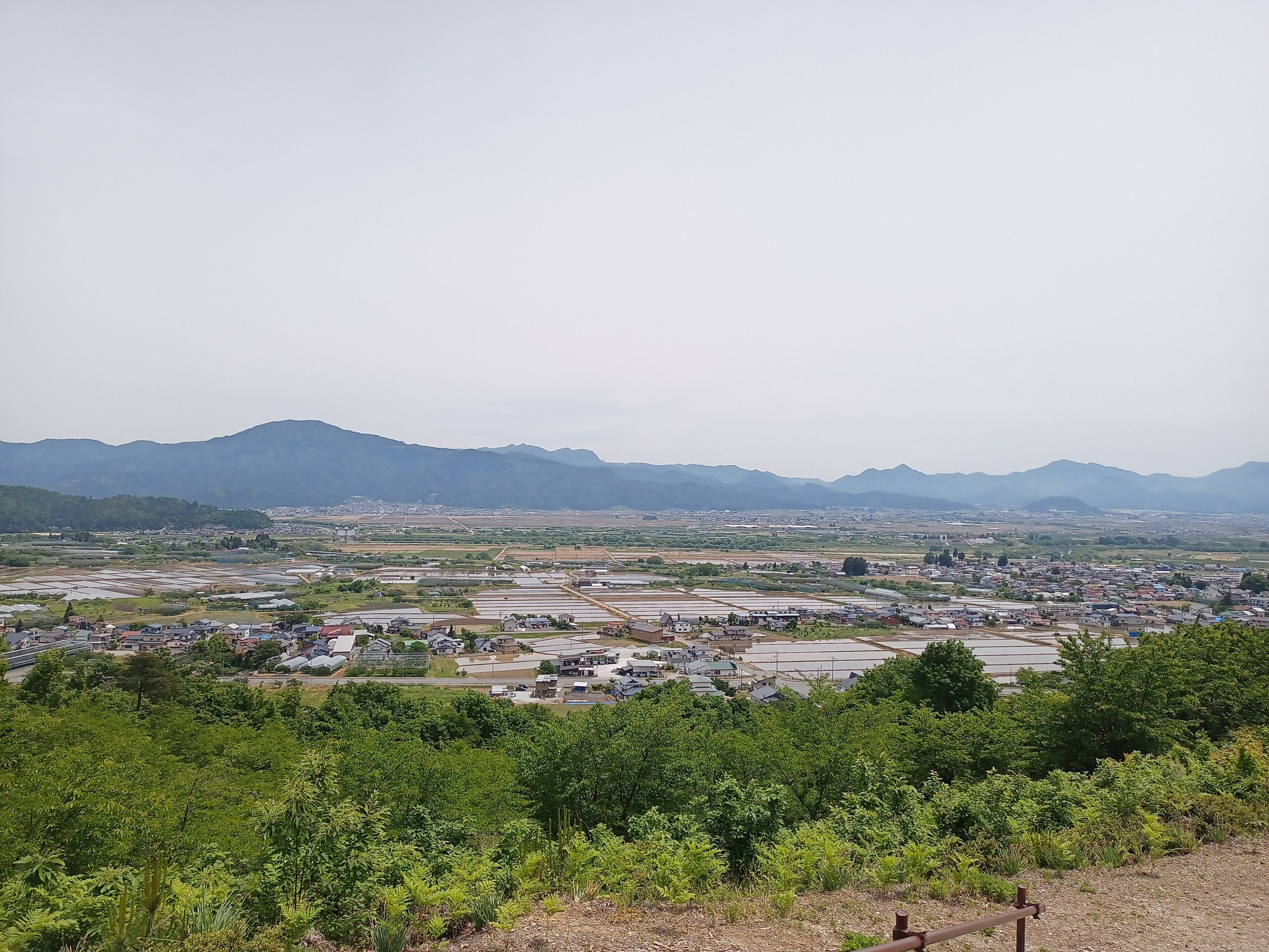 IMG_20240519_111928_983