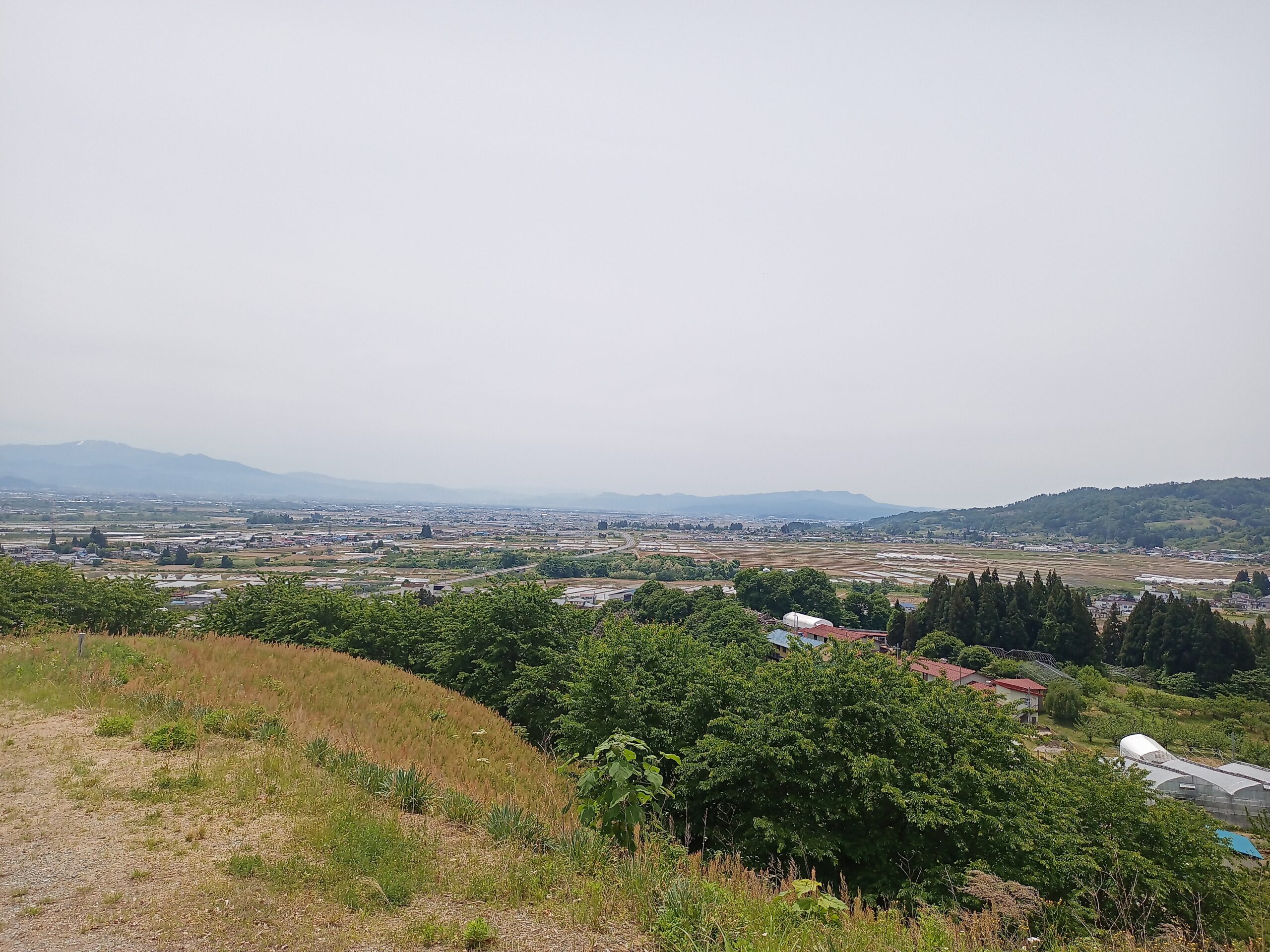 IMG_20240519_111934_137