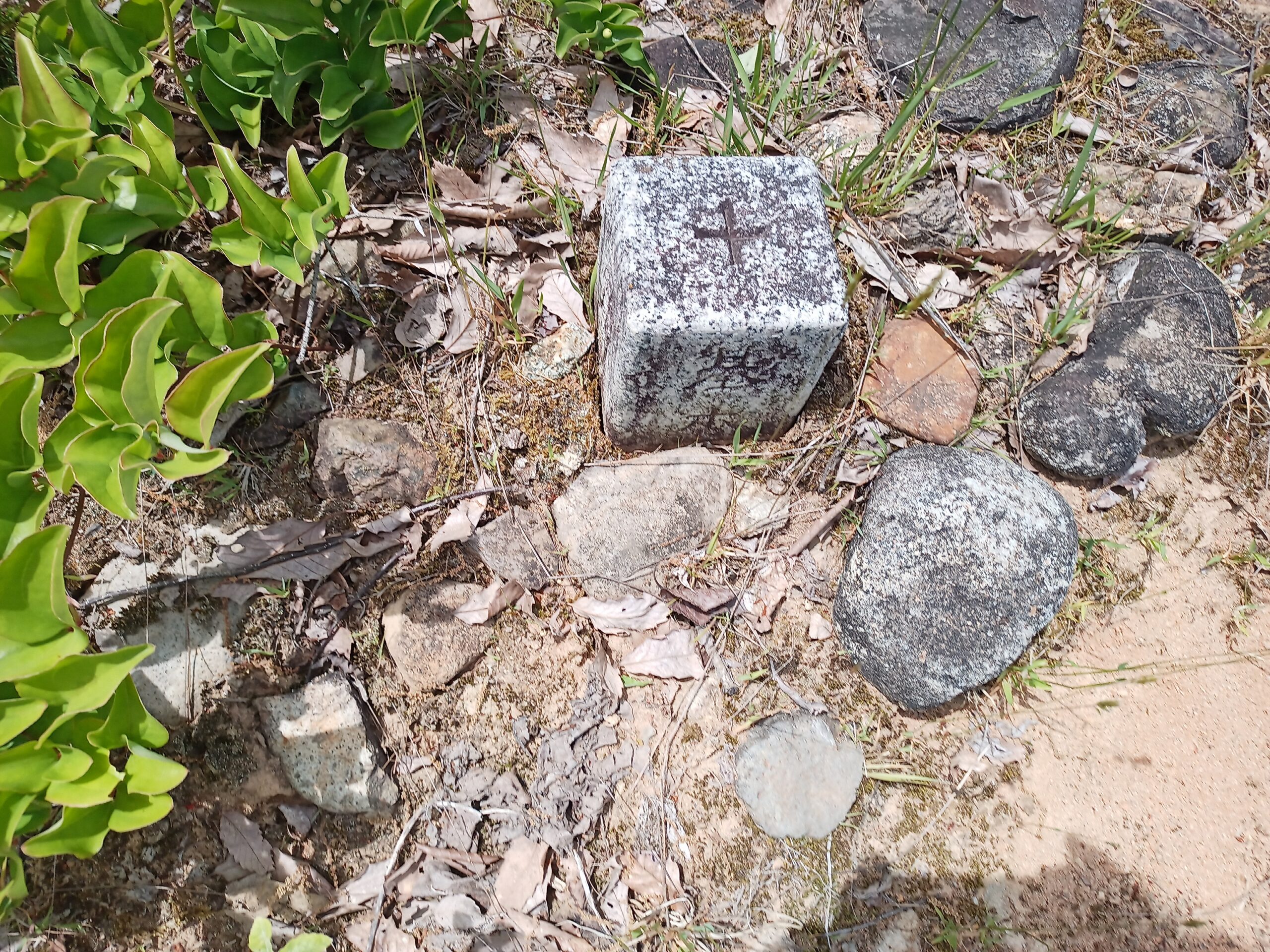 IMG_20240519_112901_498