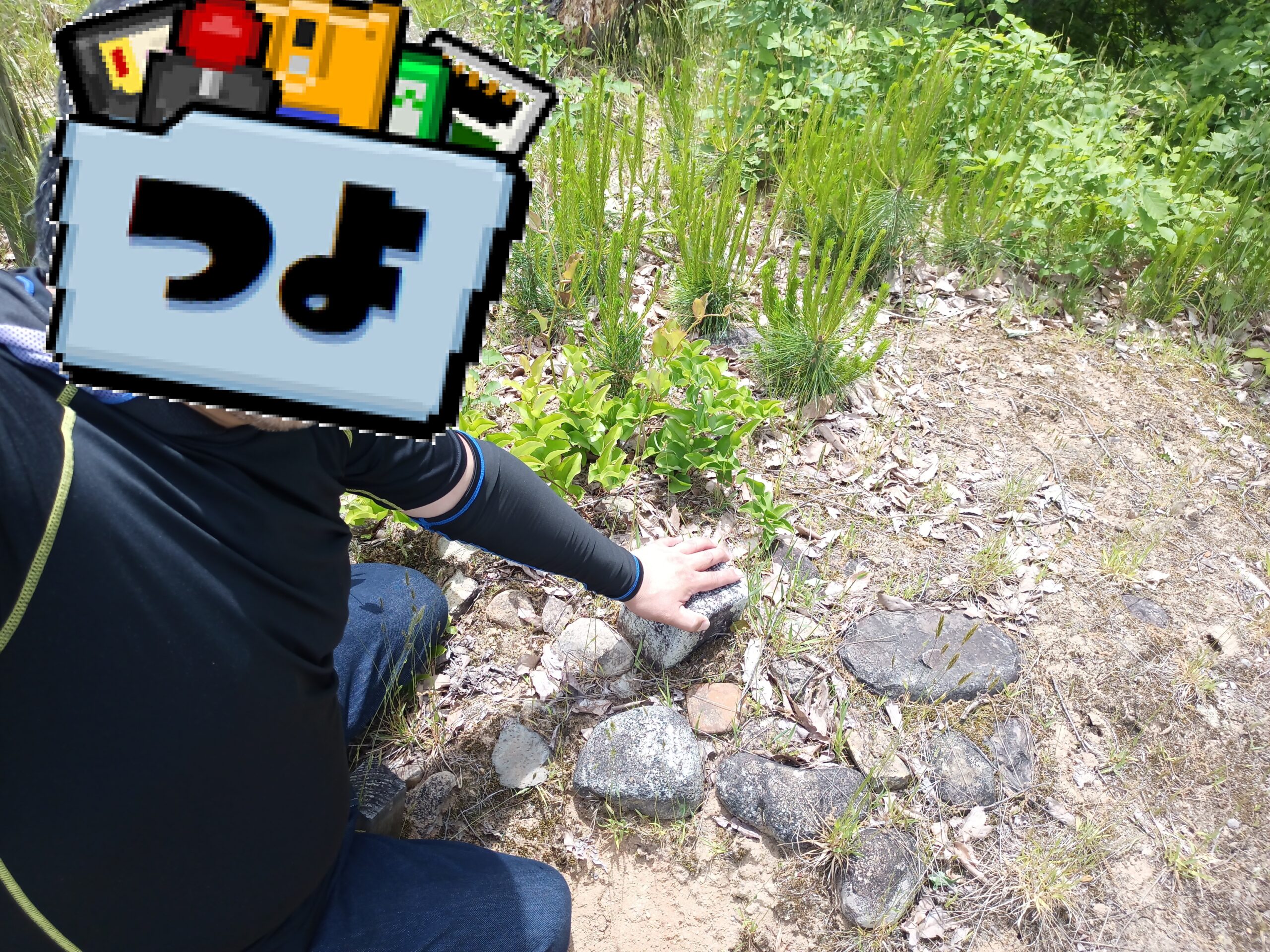 IMG_20240519_112943_149