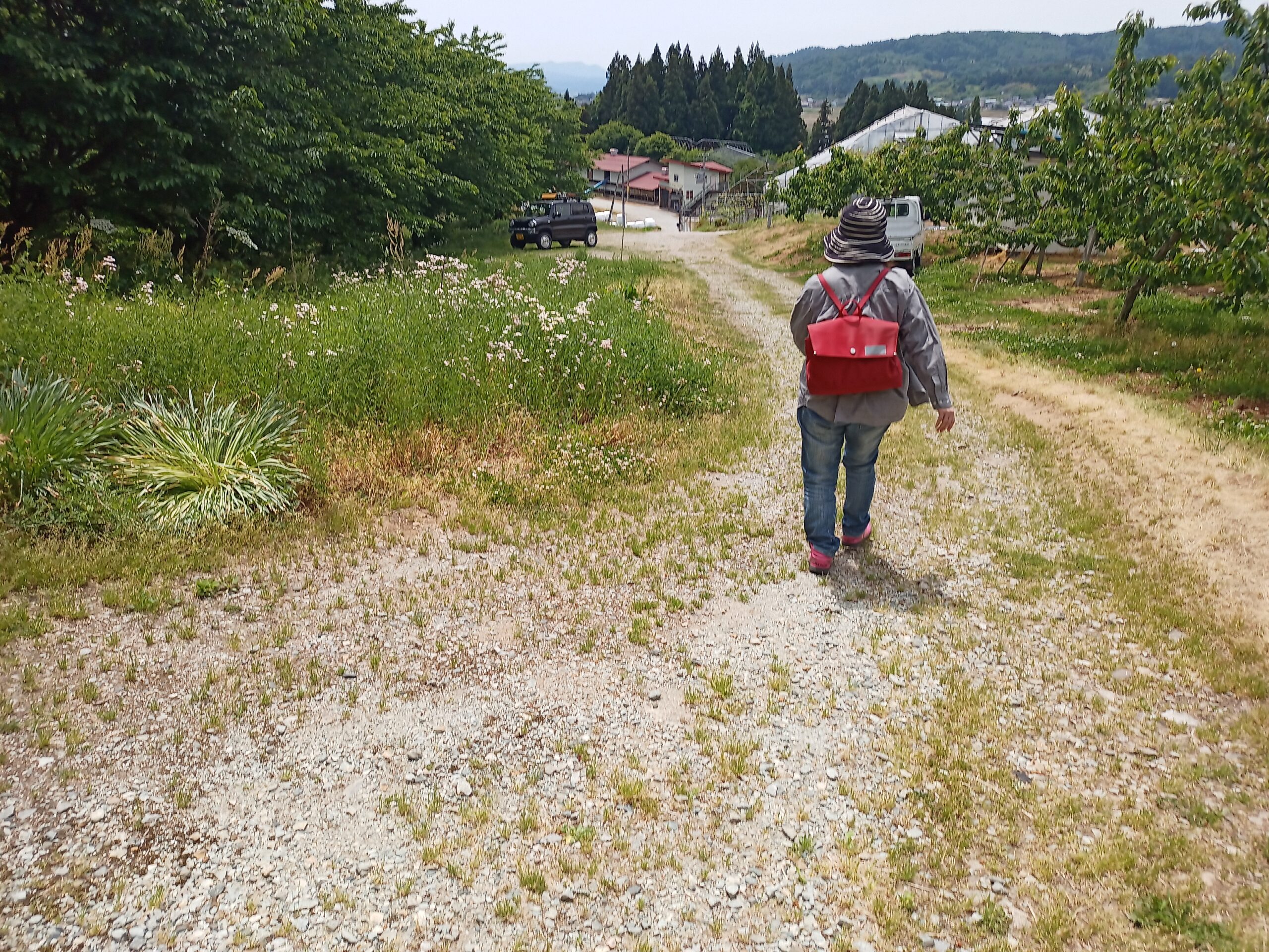 IMG_20240519_114021_126