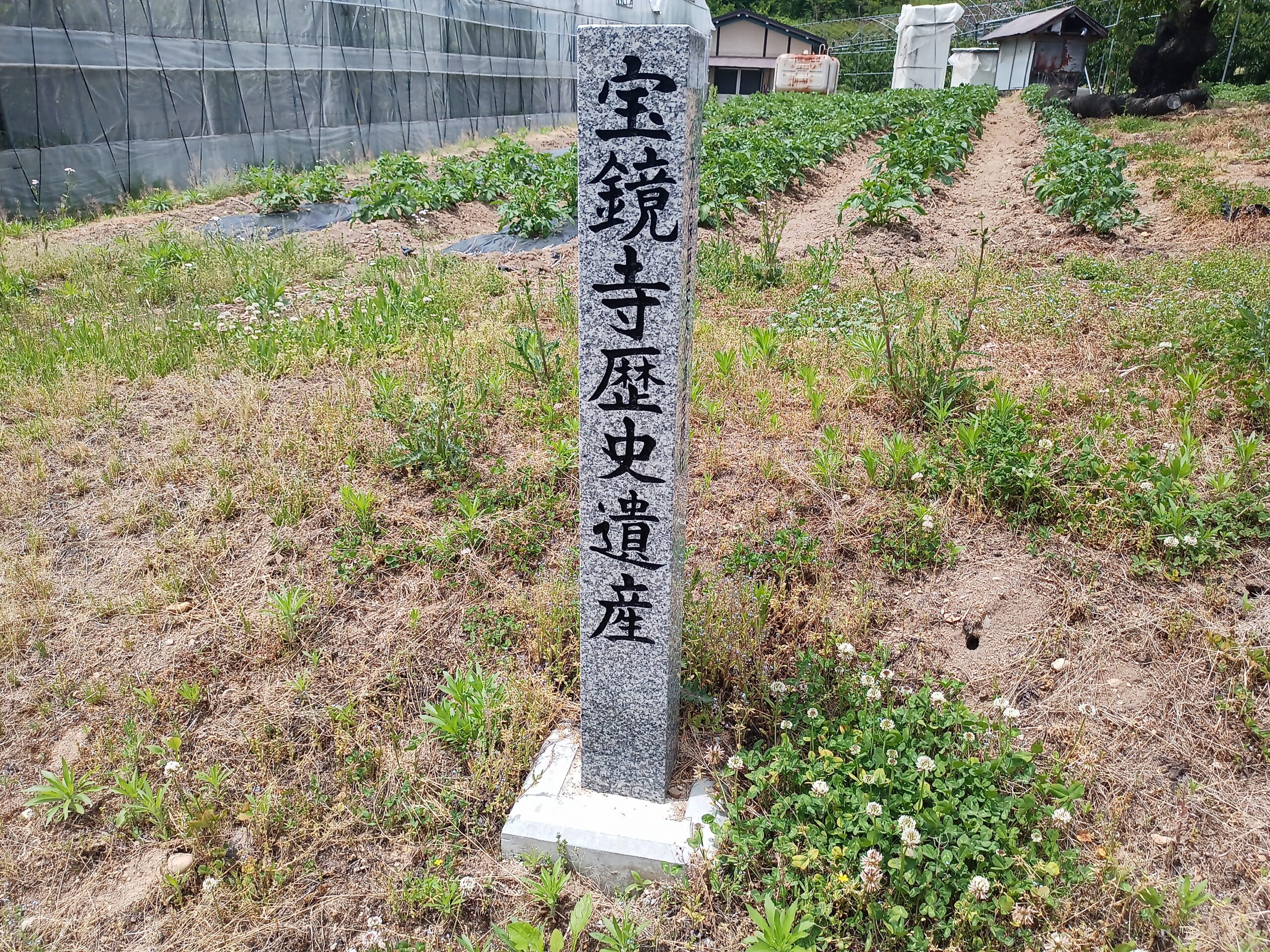 IMG_20240519_114103_148