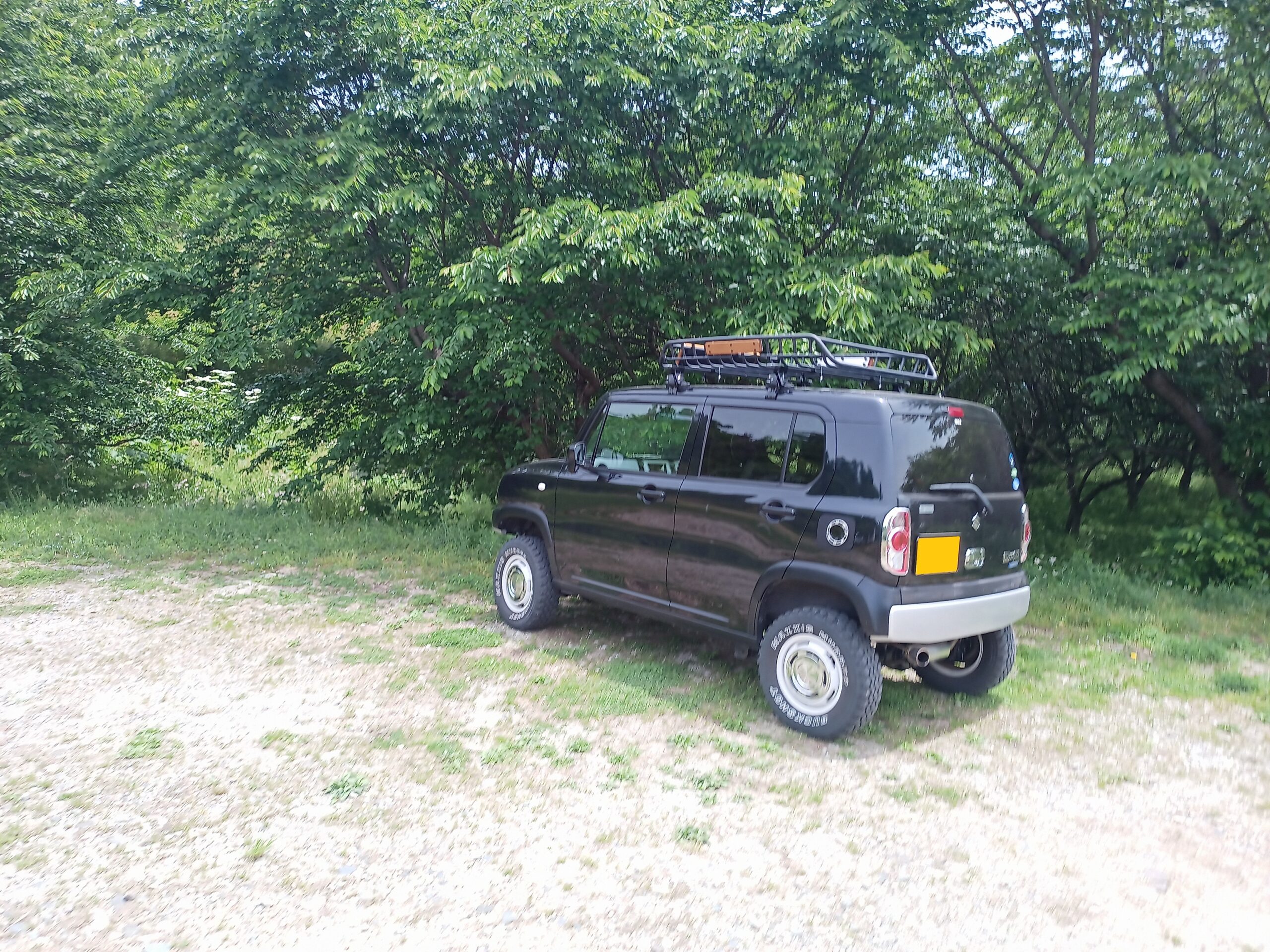 IMG_20240519_114229_473