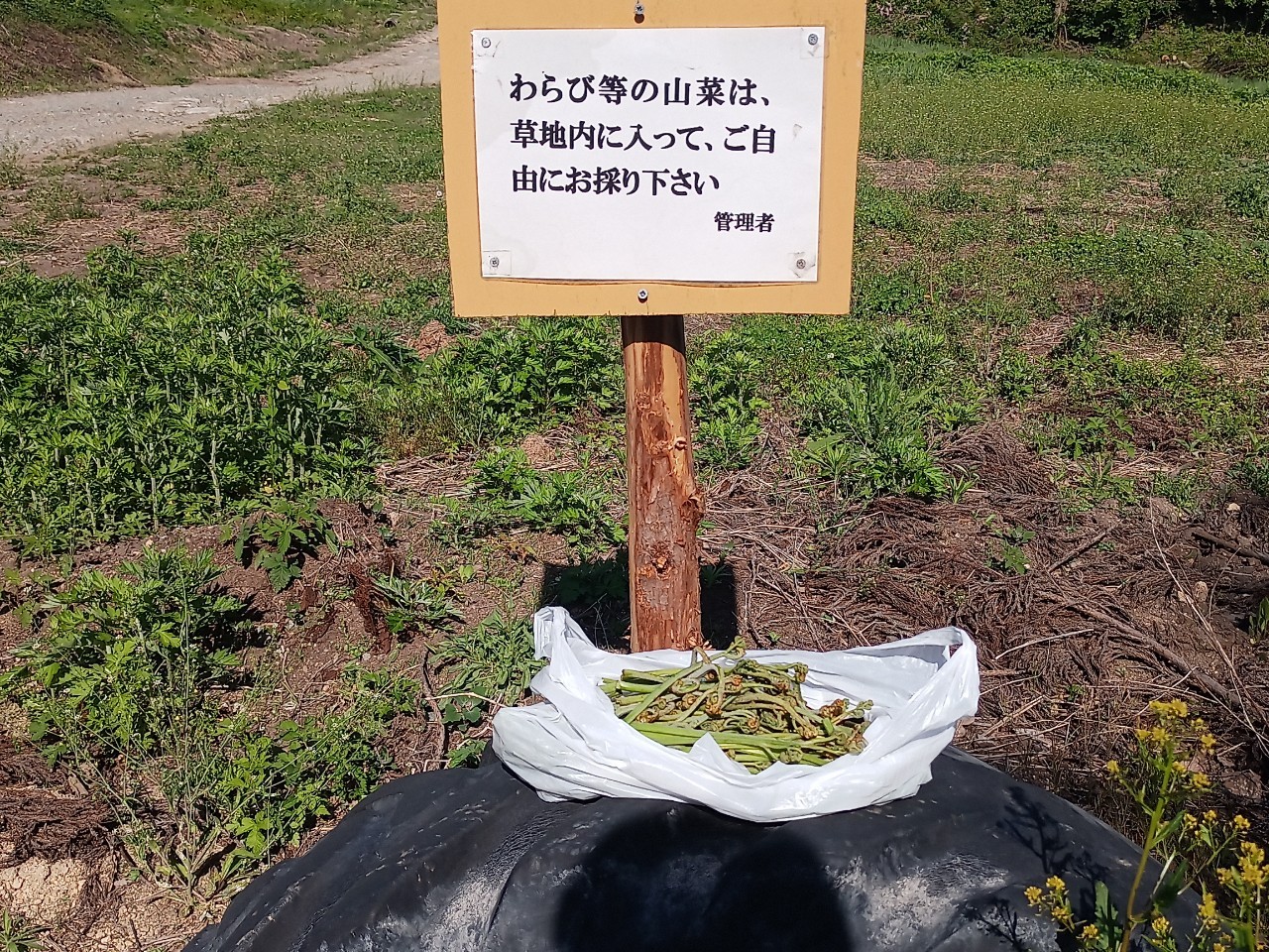 LINE_ALBUM_futatumori 2024.6._240613_106