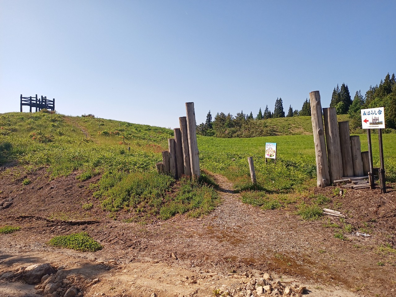 LINE_ALBUM_futatumori 2024.6._240613_119