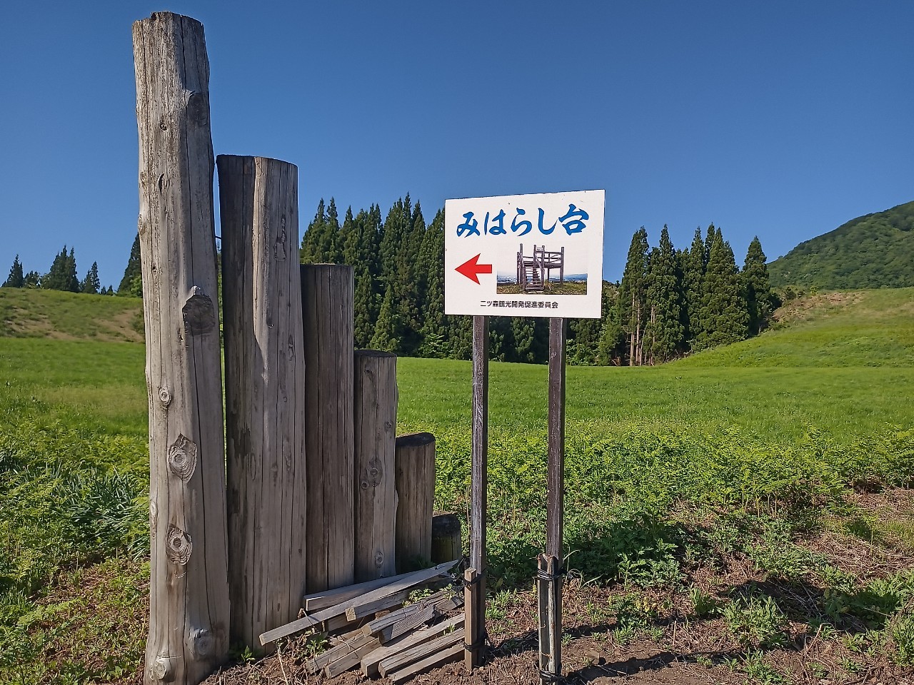 LINE_ALBUM_futatumori 2024.6._240613_121