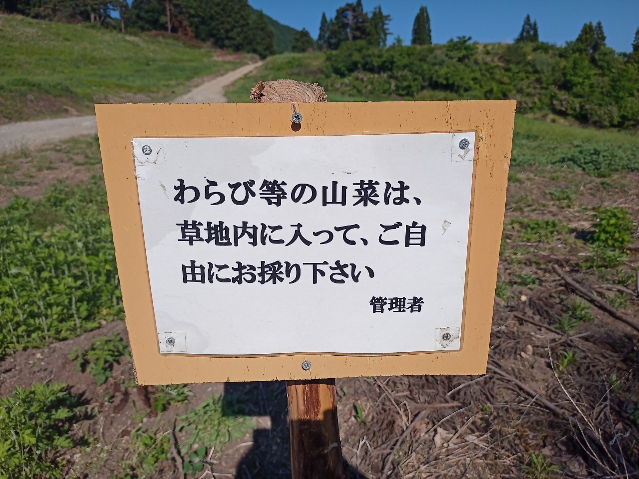 LINE_ALBUM_futatumori 2024.6._240613_124