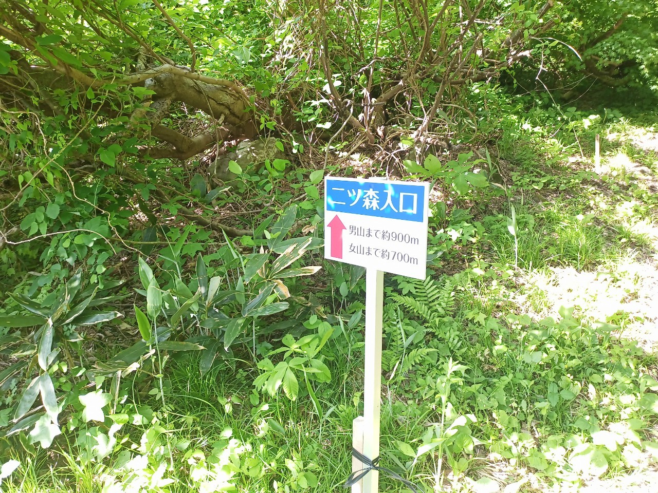 LINE_ALBUM_futatumori 2024.6._240613_149