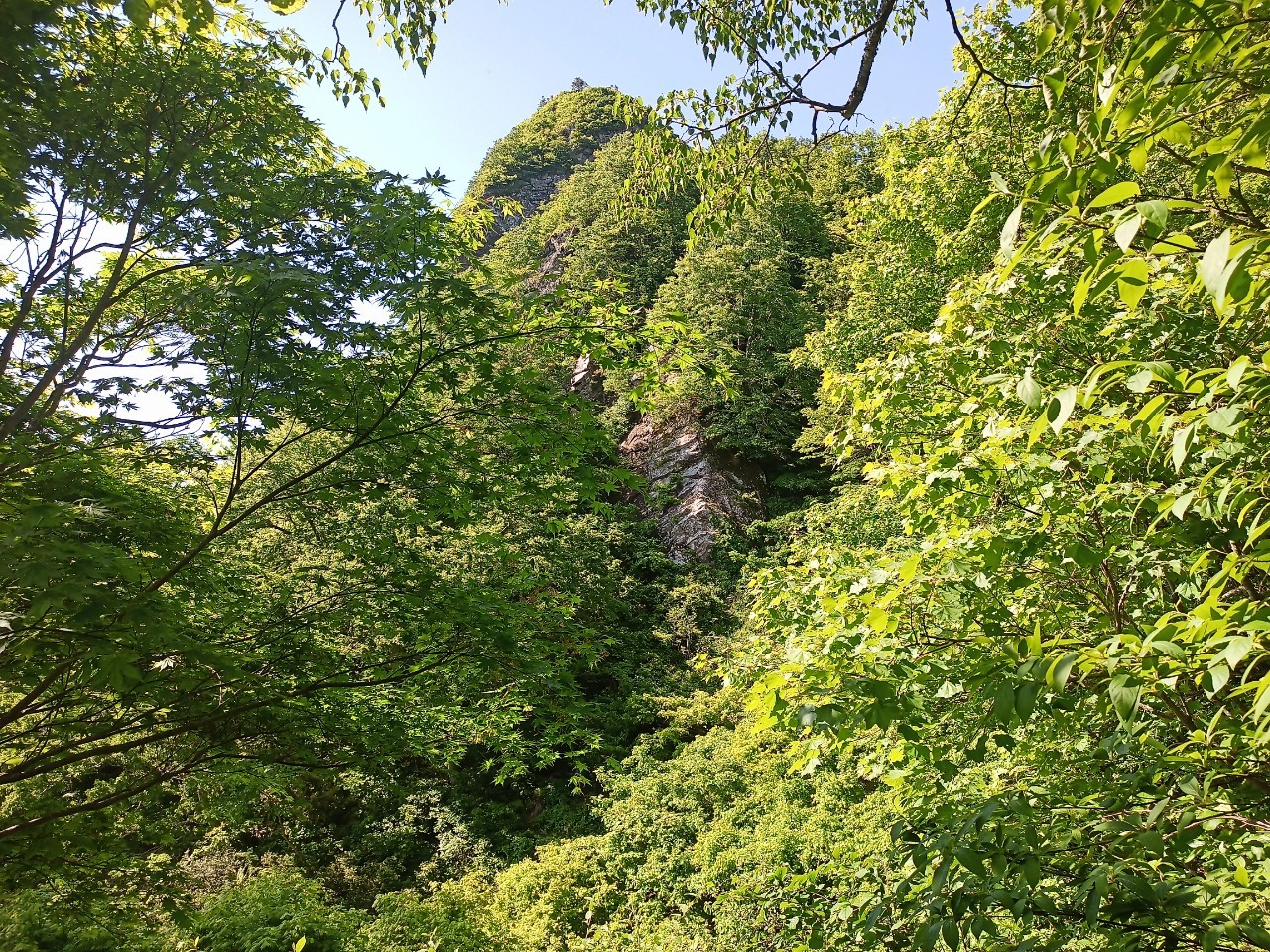 LINE_ALBUM_futatumori 2024.6._240613_151