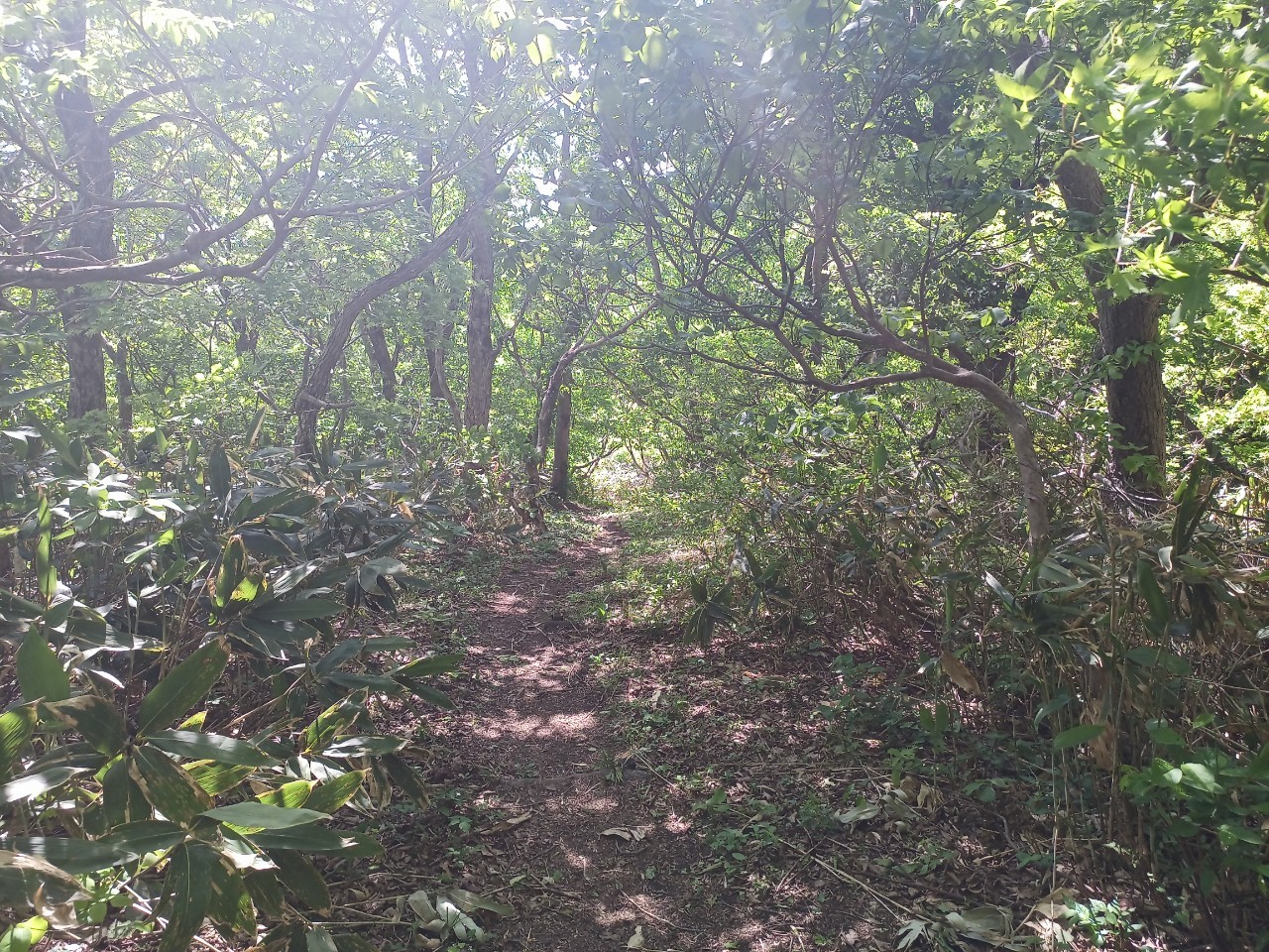 LINE_ALBUM_futatumori 2024.6._240613_155