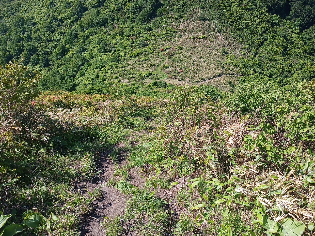 LINE_ALBUM_futatumori 2024.6._240613_169