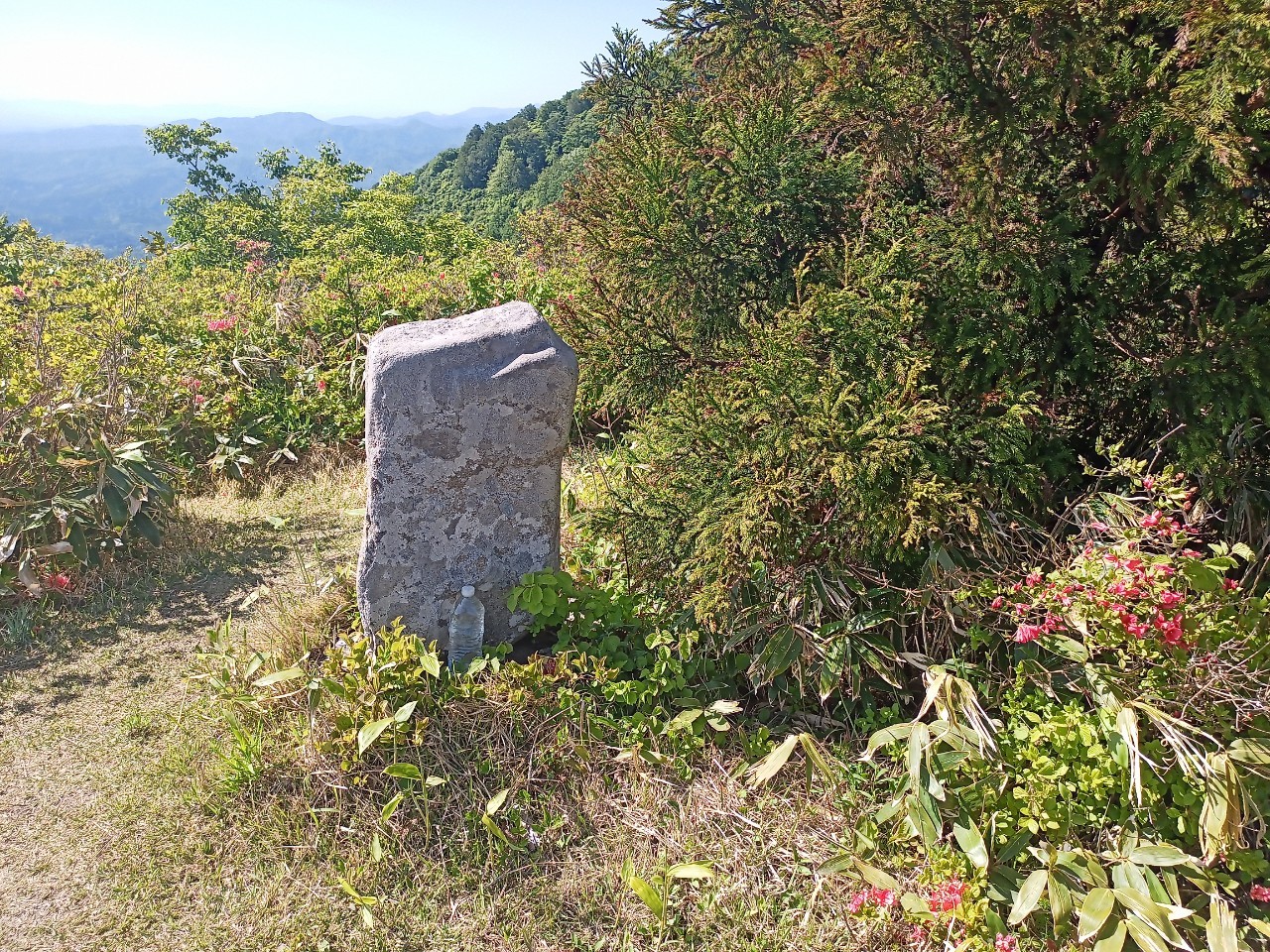 LINE_ALBUM_futatumori 2024.6._240613_179