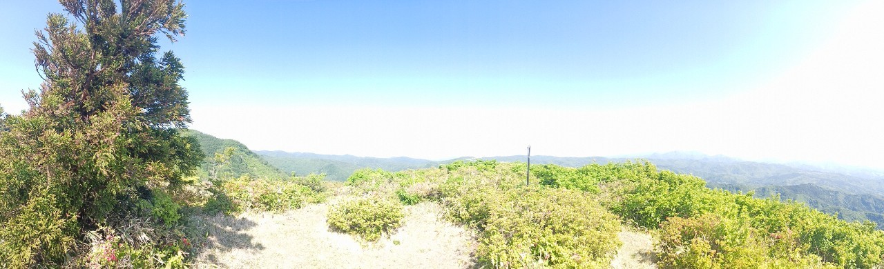 LINE_ALBUM_futatumori 2024.6._240613_189