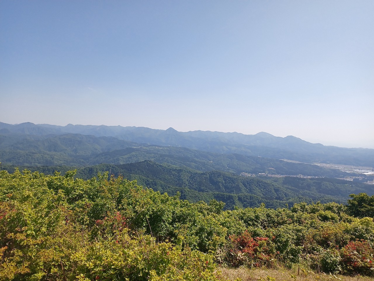 LINE_ALBUM_futatumori 2024.6._240613_191