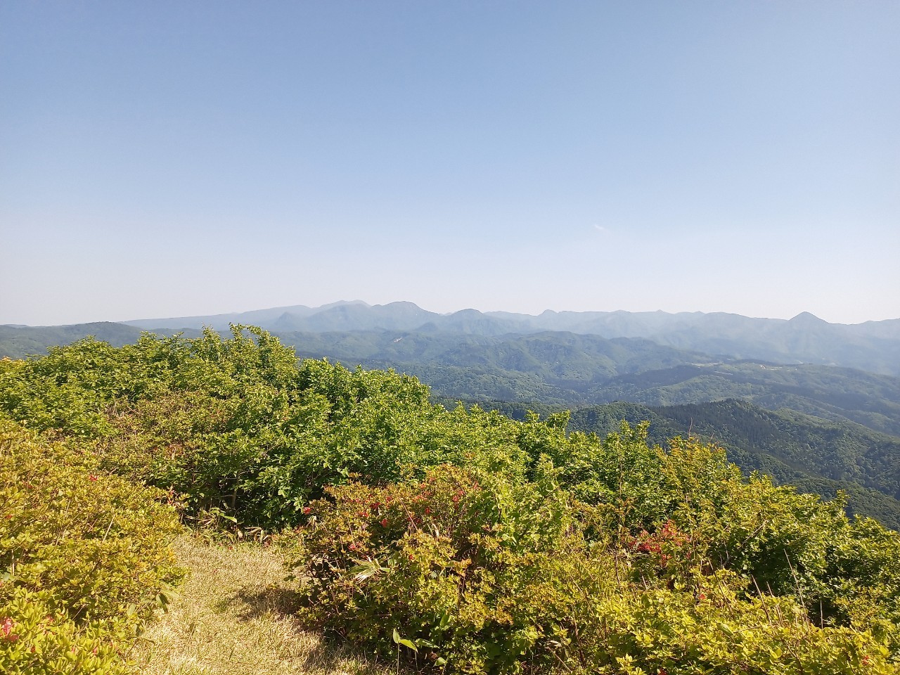 LINE_ALBUM_futatumori 2024.6._240613_193